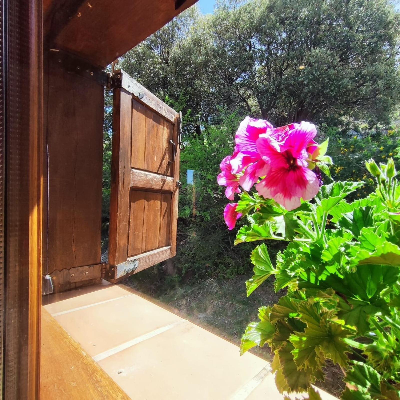 Hostal Refugio Del Aguila "Casa Diaman" Güéjar Sierra Exterior foto