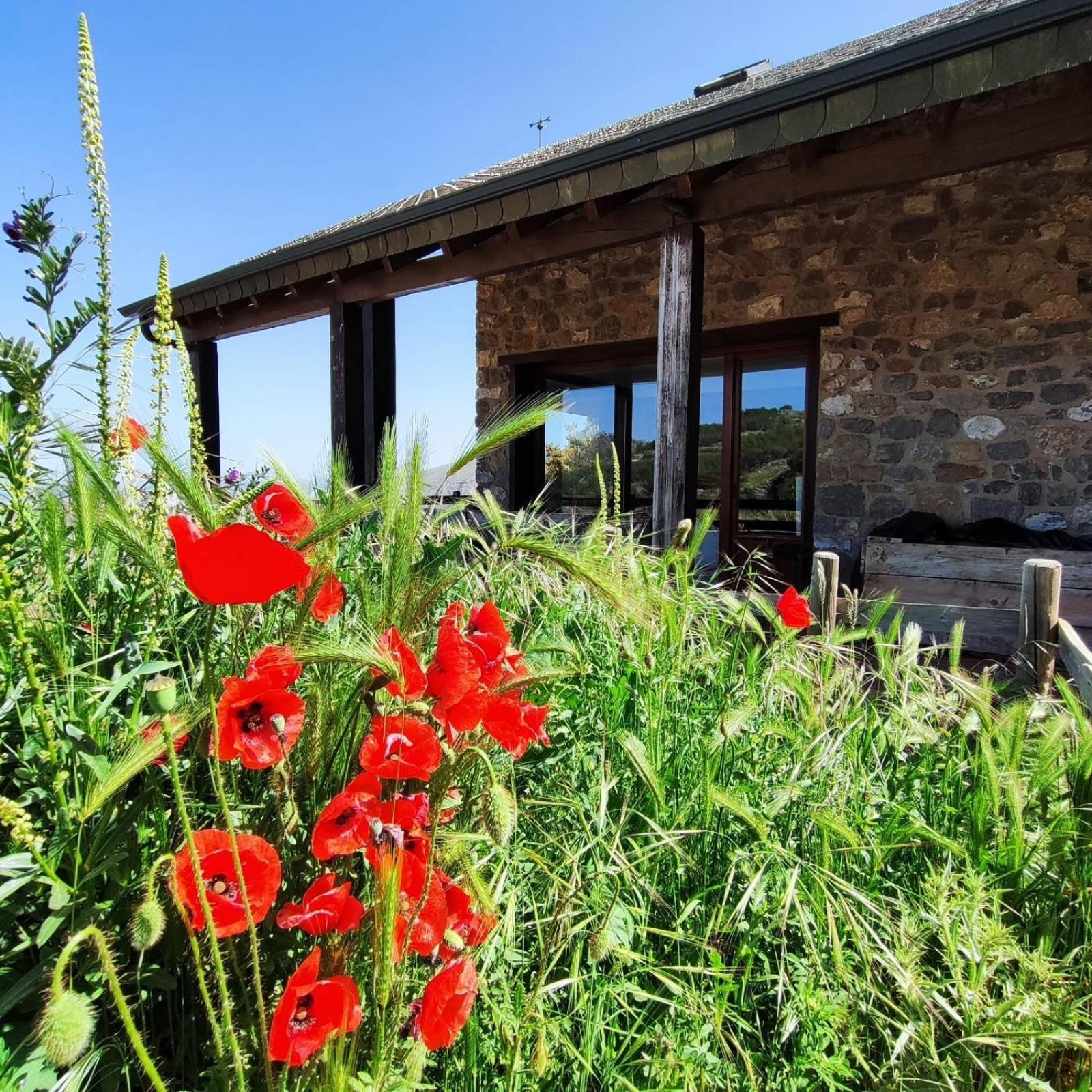 Hostal Refugio Del Aguila "Casa Diaman" Güéjar Sierra Exterior foto